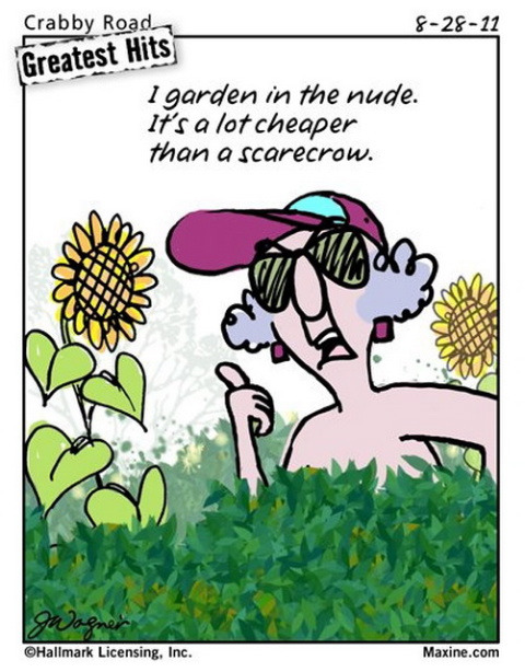 WPC Humor ForumMy Mom's hero...